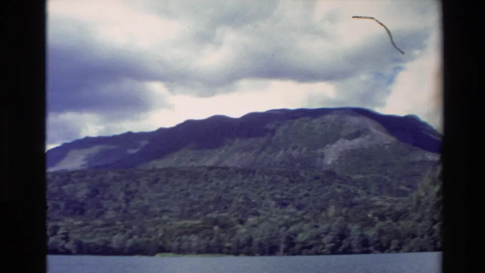 1981 New Zealand 8mm frame showing a forested lake edge and mountain ridge beneath darker, overcast clouds.