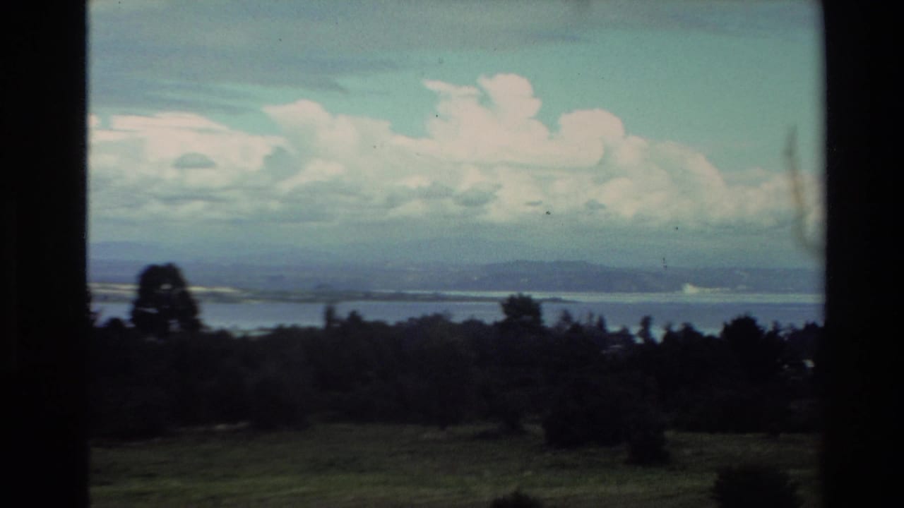 1981 New Zealand 8mm frame looking from an elevated hillside across trees and water toward distant land under cumulus clouds.