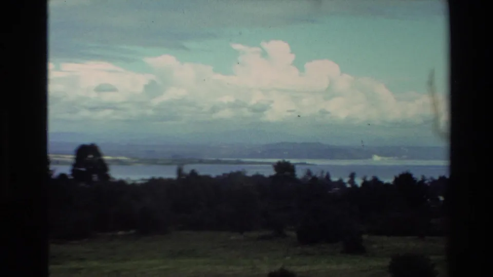 1981 New Zealand 8mm frame looking from an elevated hillside across trees and water toward distant land under cumulus clouds.