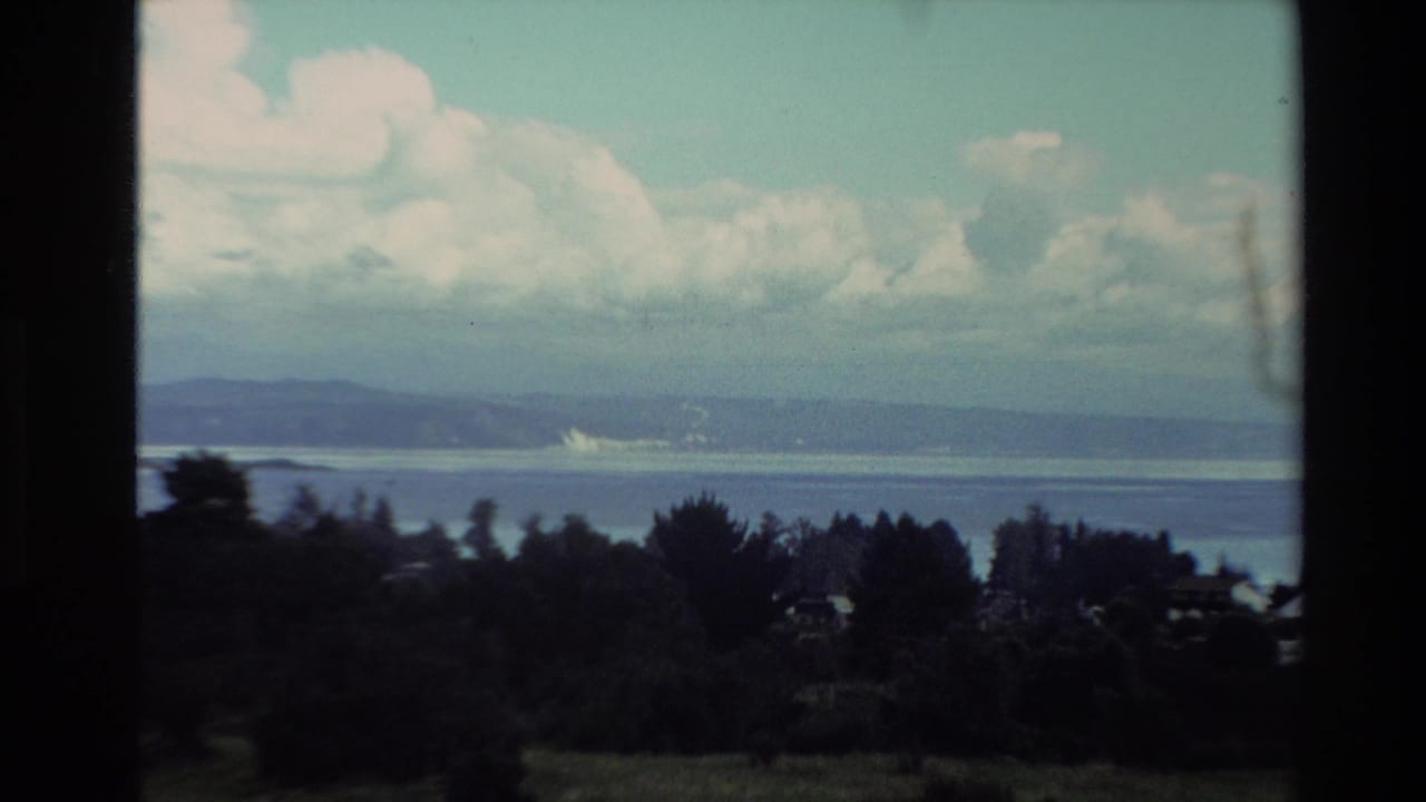 Coastal panorama with water, distant hills, trees, and bright cumulus clouds.