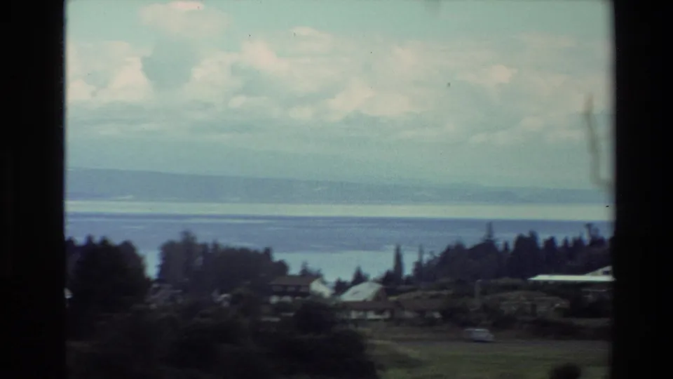 1981 New Zealand 8mm frame with scattered houses and trees in the foreground, blue water beyond, and distant land under a pale sky.