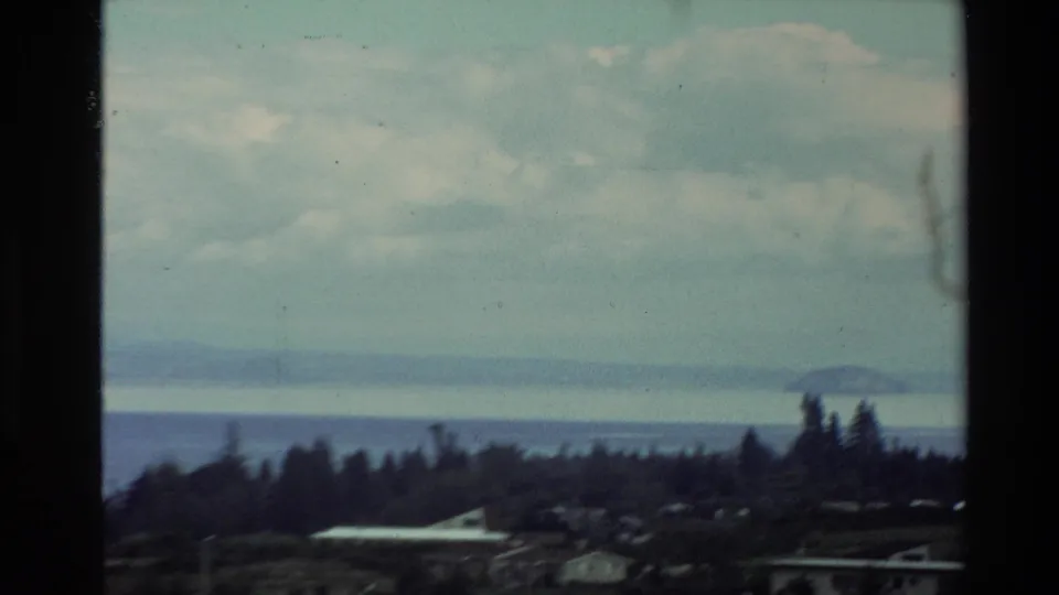 1981 New Zealand home-movie frame showing a soft, grainy view across treetops and rooftops to water and distant landforms.