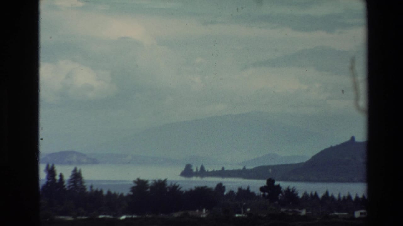 Water, trees, and a wooded headland below a cloudy sky.