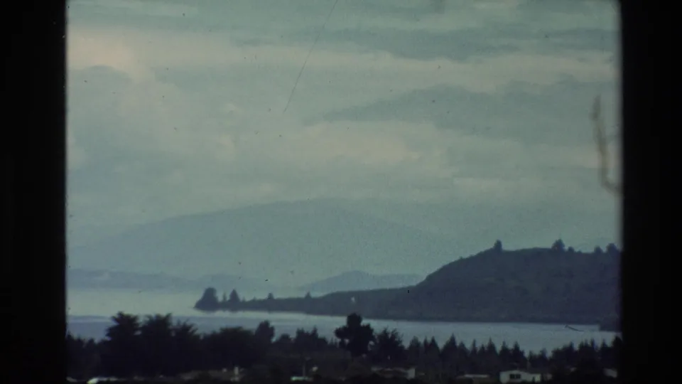 1981 New Zealand 8mm view of a wooded headland, broad water, foreground trees, and hazy hills beyond.