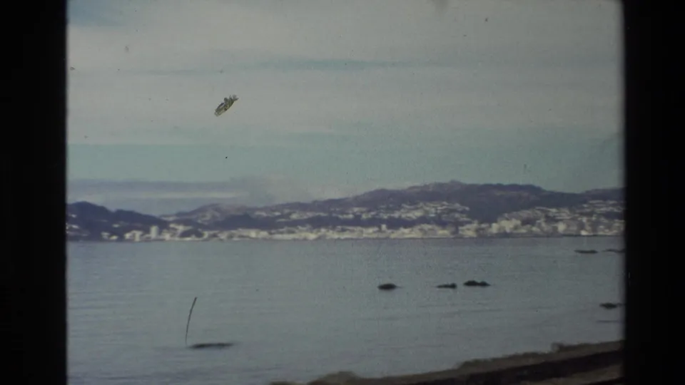 New Zealand coastal train-window view from 1981, showing calm water, low rocks, hills, and shoreline buildings.