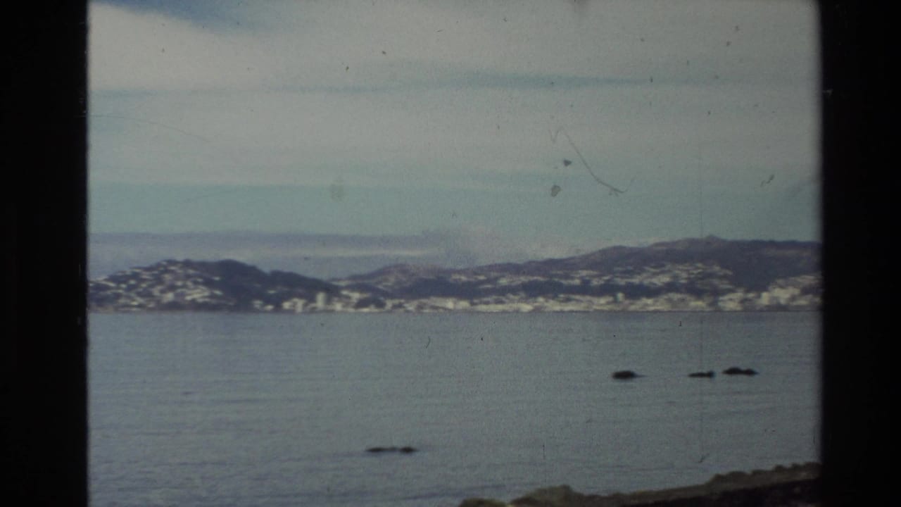 1981 New Zealand 8mm view across a calm bay toward distant coastal hills and small shoreline buildings.