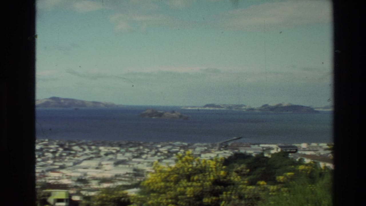 City and harbor panorama with islands and yellow bushes in the foreground.