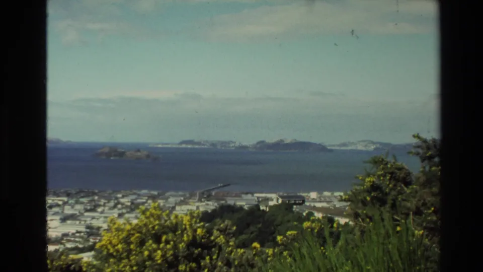 1981 New Zealand home-movie still of a coastal city below an overlook, with harbor water, islands, and foreground vegetation.