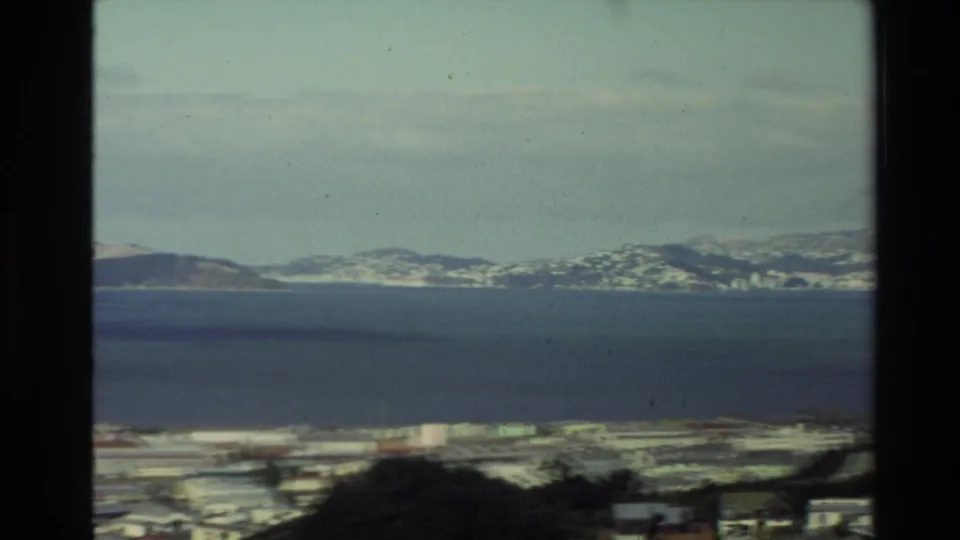 Final 1981 New Zealand frame looking across open water to distant hills, with a soft blurred city foreground and dark film edge.