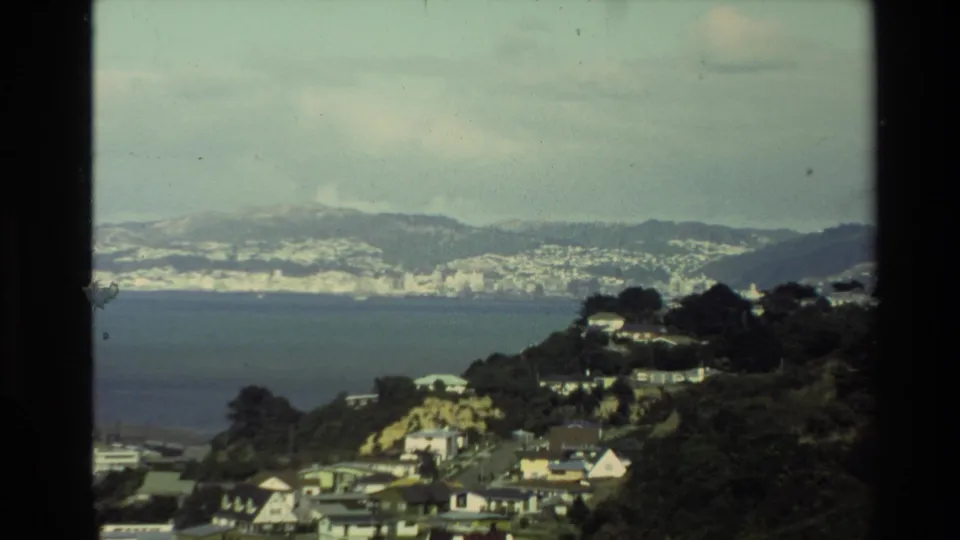 Soft 8mm frame of a New Zealand hillside neighborhood overlooking water, with distant urban shoreline and mountains under overcast sky.