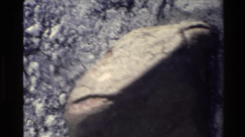 Soft 8mm frame from the New Zealand clip with rocky ground, pale organic form, shadow, grain, and heavy exposure variation.