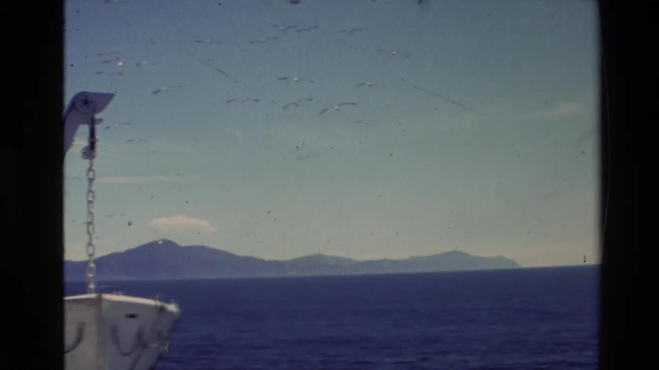 1981 New Zealand travel footage showing a boat bow, birds flying overhead, dark water, and low distant islands under a bright sky.