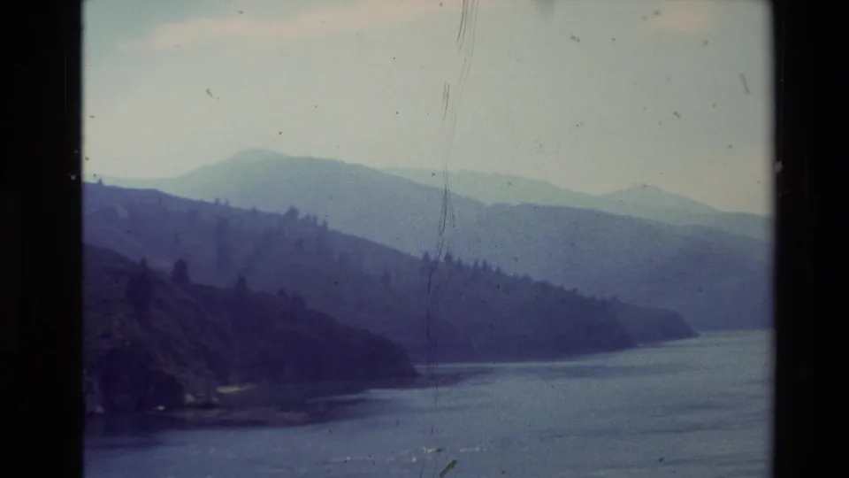 New Zealand 8mm travel frame with a forested lakeside slope, misty mountain layers, and calm water below.