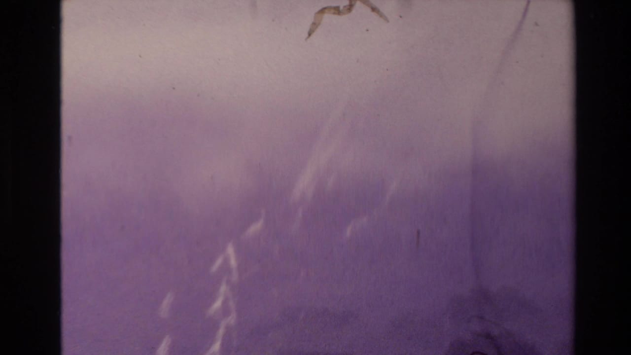 Faded 8mm frame from the New Zealand clip, with blurred purple sky, a faint streak, dust marks, and scratches.