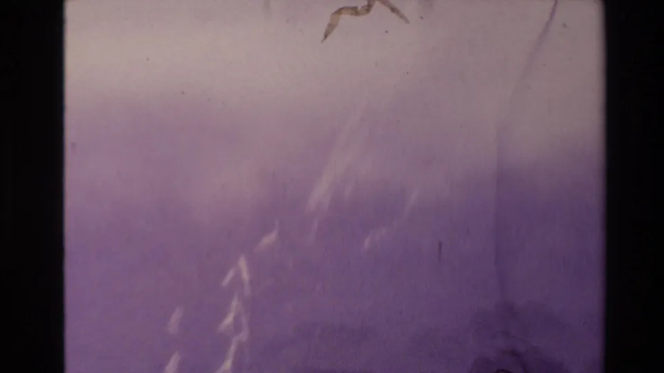 Faded 8mm frame from the New Zealand clip, with blurred purple sky, a faint streak, dust marks, and scratches.