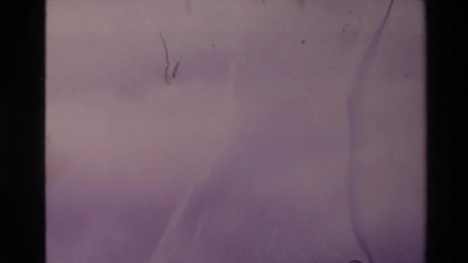 Overexposed and faded 8mm frame from the 1981 New Zealand footage, dominated by purple cast, scratches, dust, and gate edges.