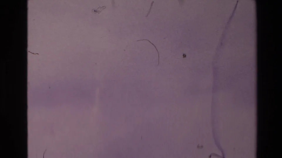 Final 8mm frame showing a faded purple field with dust, hair-like debris, scratches, and visible film edges.