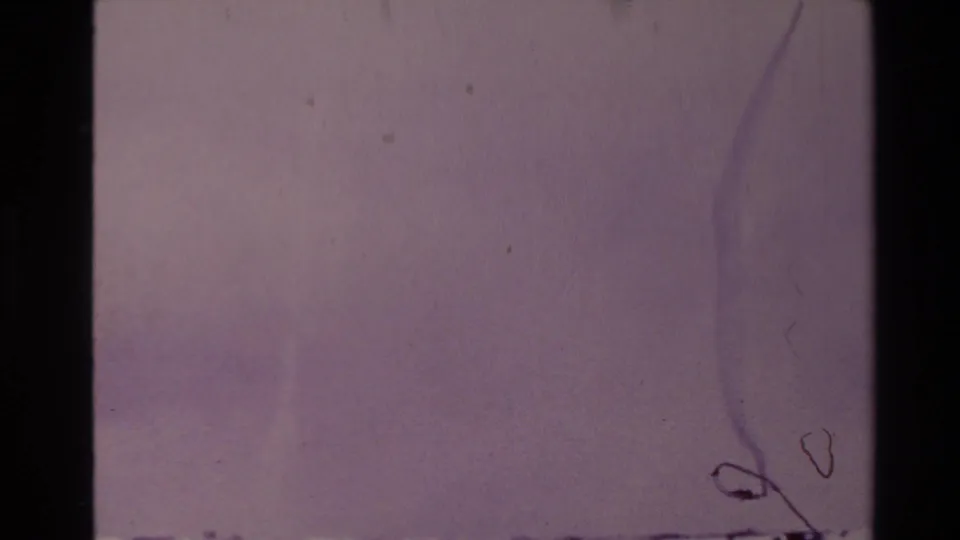 1981 New Zealand 8mm frame appears mostly obscured or overexposed, with purple color fade, film border, dust, and scratches visible.
