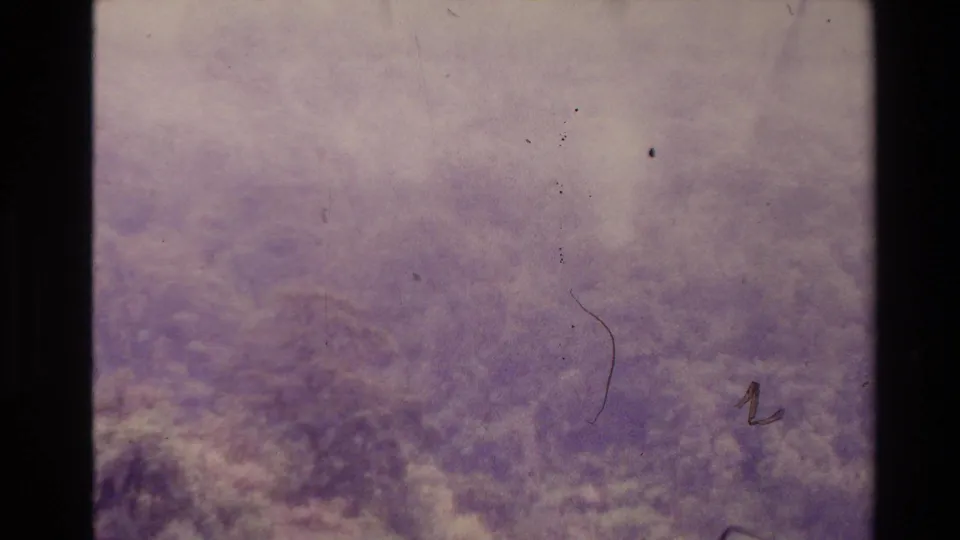 1981 New Zealand 8mm frame showing distant dense forest canopy with lavender fading, dark gate edges, and visible dust marks.
