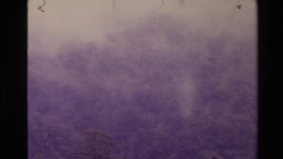 Faded 8mm view of New Zealand forest canopy in 1981, with lavender cast, soft focus, dust, and gate-edge framing.