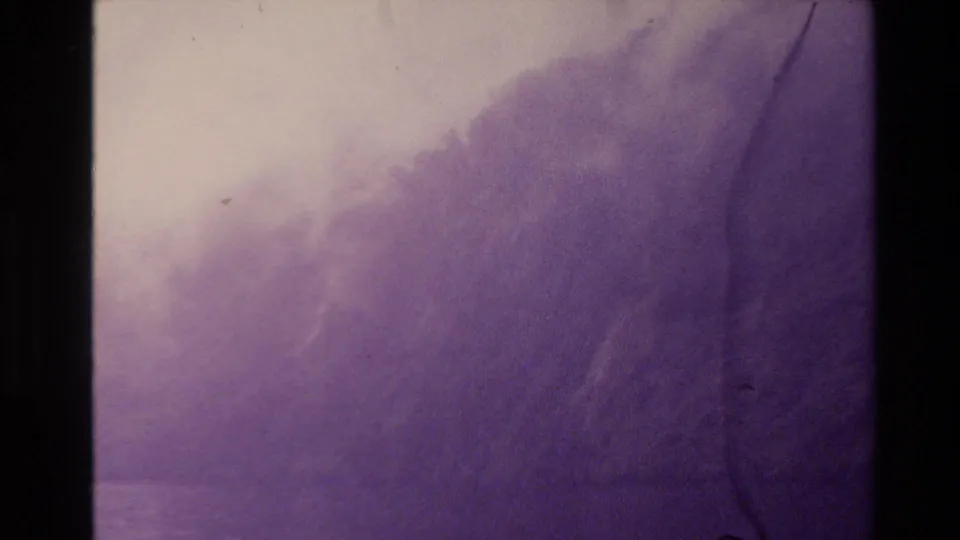 1981 New Zealand home-movie frame with a hazy forested slope, pale sky, purple film fade, and scratched 8mm borders.