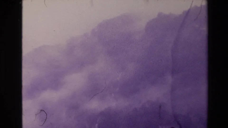 1981 New Zealand 8mm frame showing a misty rainforest hillside under pale sky with purple color shift, scratches, and gate edges.