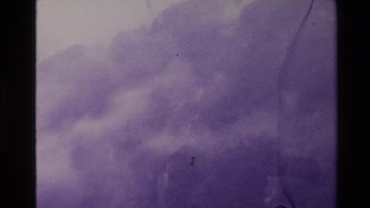 1981 New Zealand 8mm frame of a fog-softened rainforest slope with purple tint, dust specks, and a dark vertical gate edge.