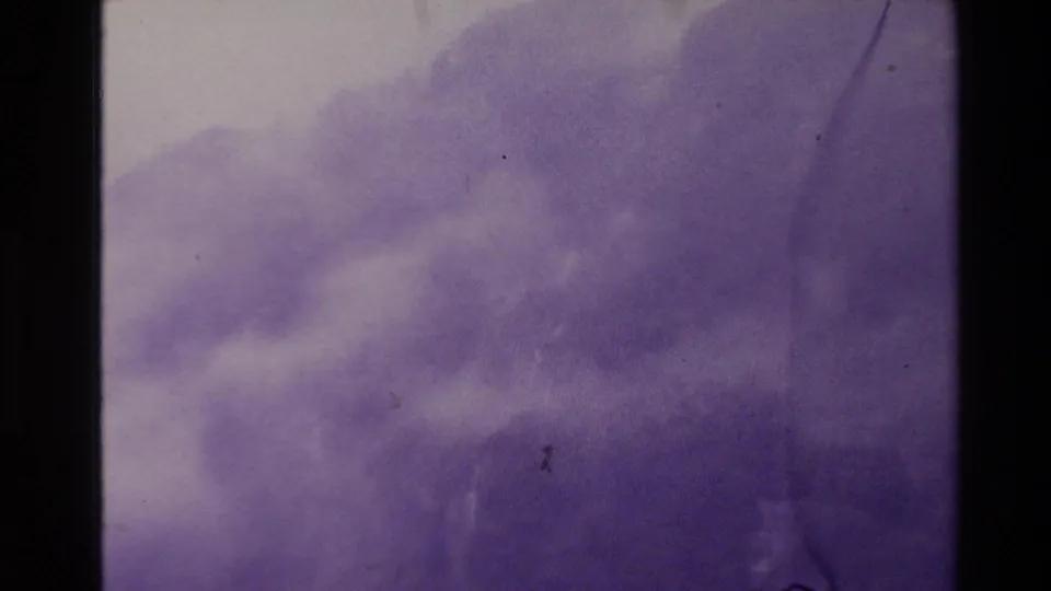 1981 New Zealand 8mm frame of a fog-softened rainforest slope with purple tint, dust specks, and a dark vertical gate edge.