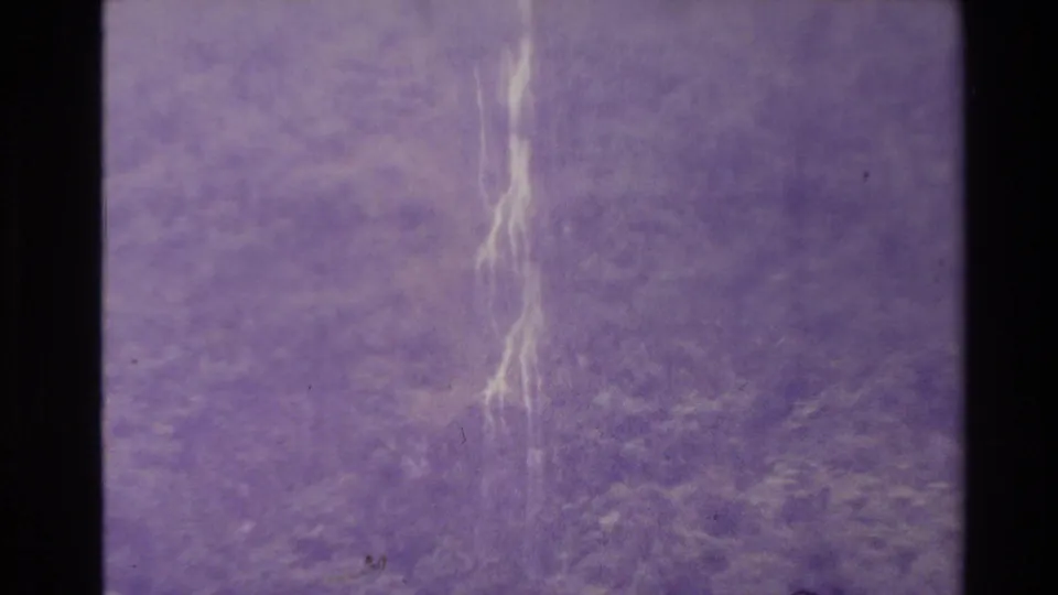 1981 New Zealand 8mm frame of a foggy rainforest slope with a prominent white vertical streak, purple color shift, dust, and black edge.
