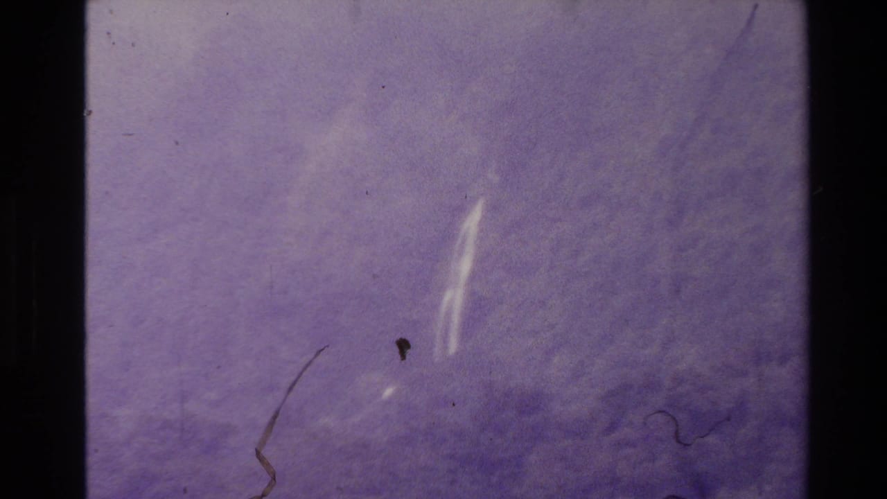 1981 New Zealand 8mm frame showing a blurred forest river or falls scene with heavy purple color shift and film wear.