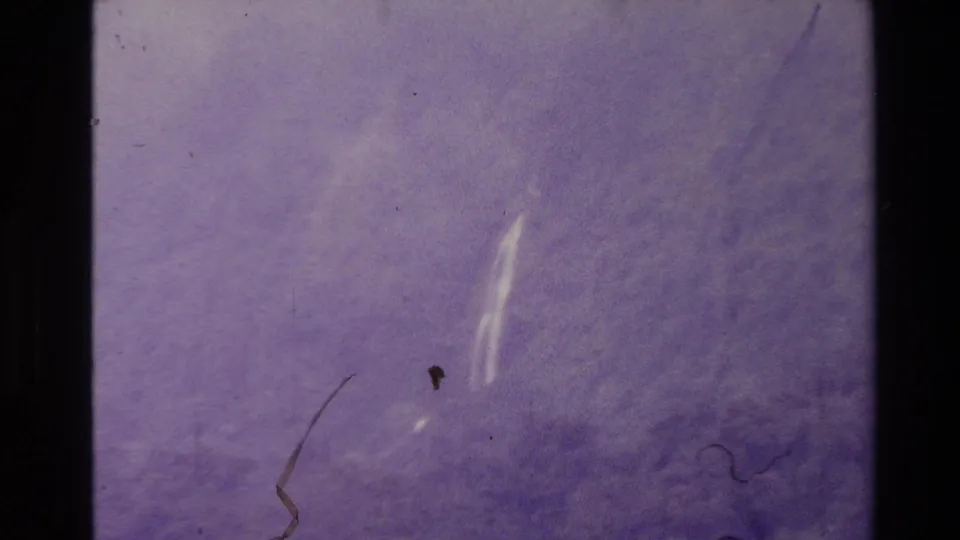 1981 New Zealand 8mm frame showing a blurred forest river or falls scene with heavy purple color shift and film wear.