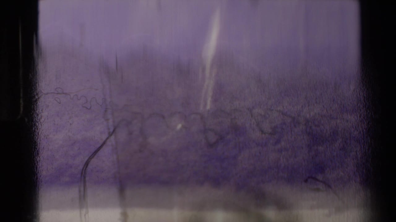 Aged 8mm home-movie frame from New Zealand with soft foliage, a faint falling-water form, scratches, and uneven exposure.