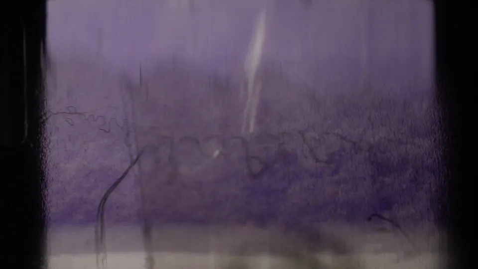 Aged 8mm home-movie frame from New Zealand with soft foliage, a faint falling-water form, scratches, and uneven exposure.