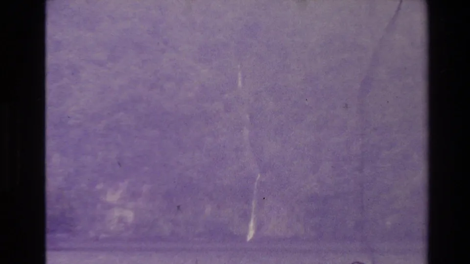 1981 New Zealand nature frame with indistinct foliage, possible river rocks, pale water streaks, and visible 8mm film wear.