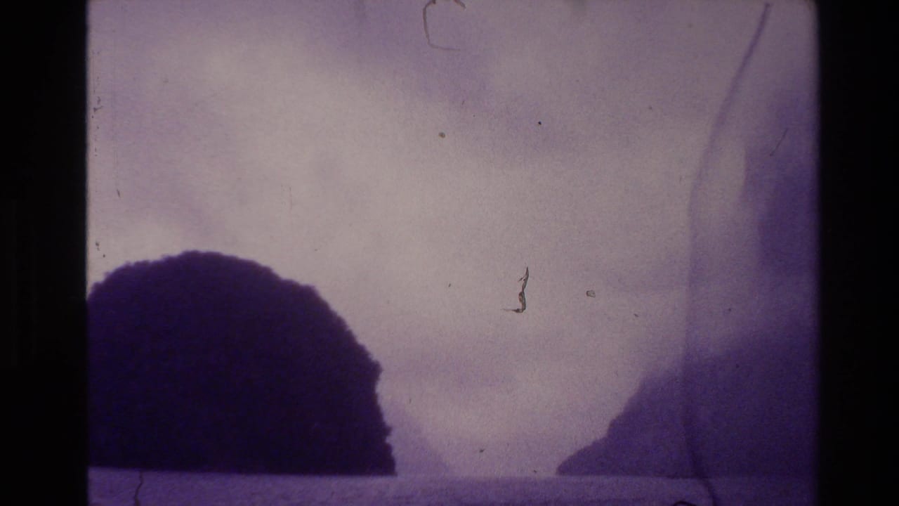 1981 New Zealand 8mm frame showing mist over water and dark rugged hills, with purple tint, grain, and film wear.