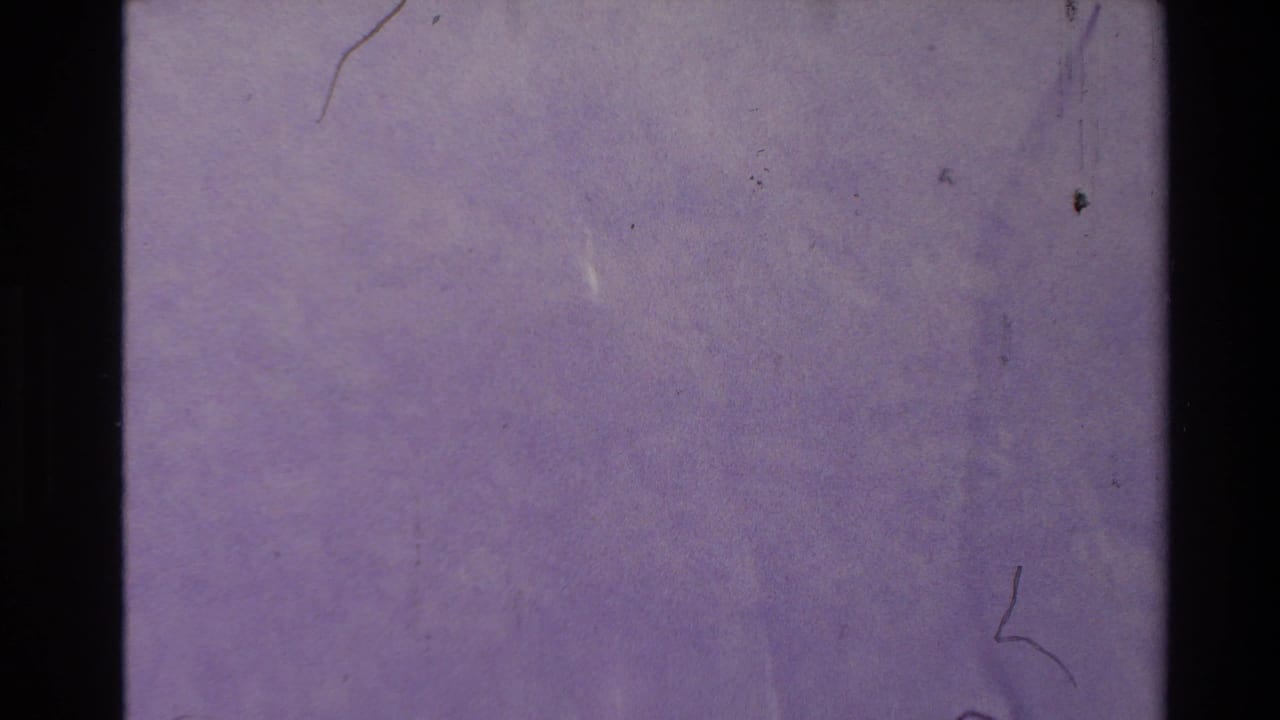 1981 New Zealand 8mm frame showing a static purple textured surface with black film borders, dust marks, scratches, and soft grain.