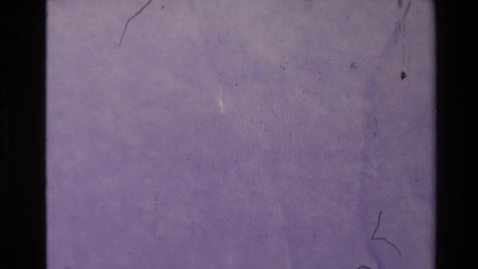1981 New Zealand 8mm frame showing a static purple textured surface with black film borders, dust marks, scratches, and soft grain.