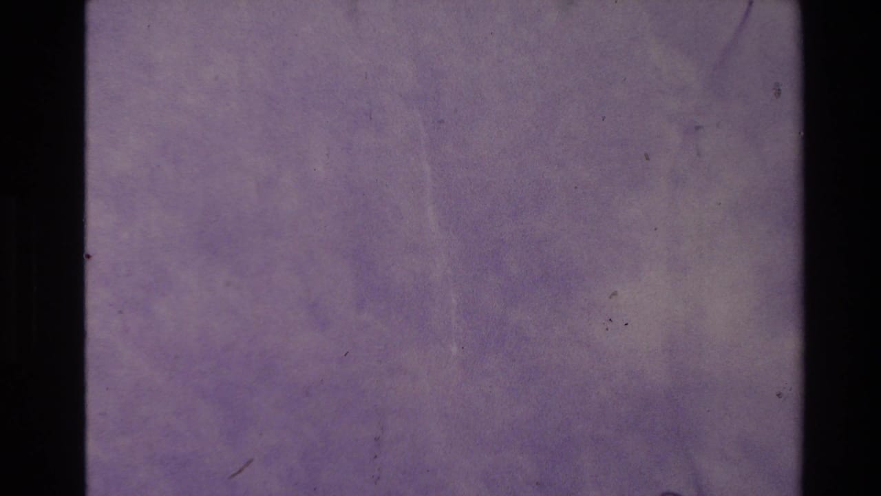 Purple wall-like surface divided by a dark vertical film bar with scratches and dust.