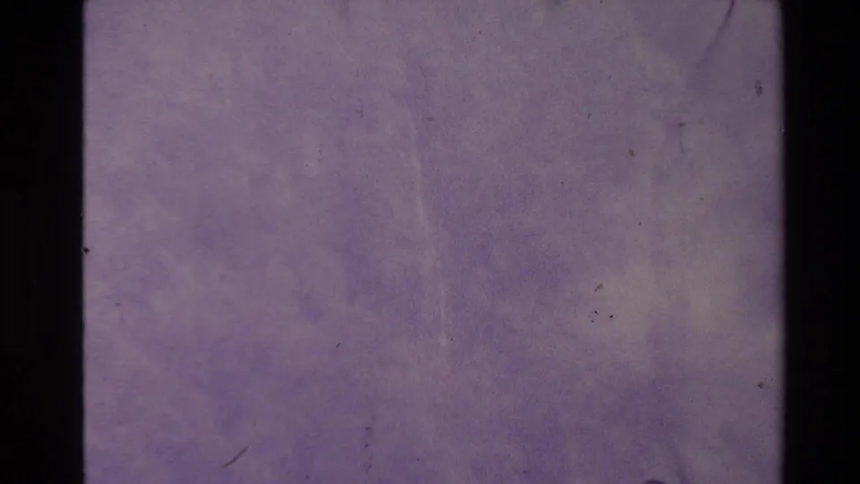 1981 New Zealand 8mm frame with a purple textured field, dark vertical frame division, dust specks, and fine film scratches.