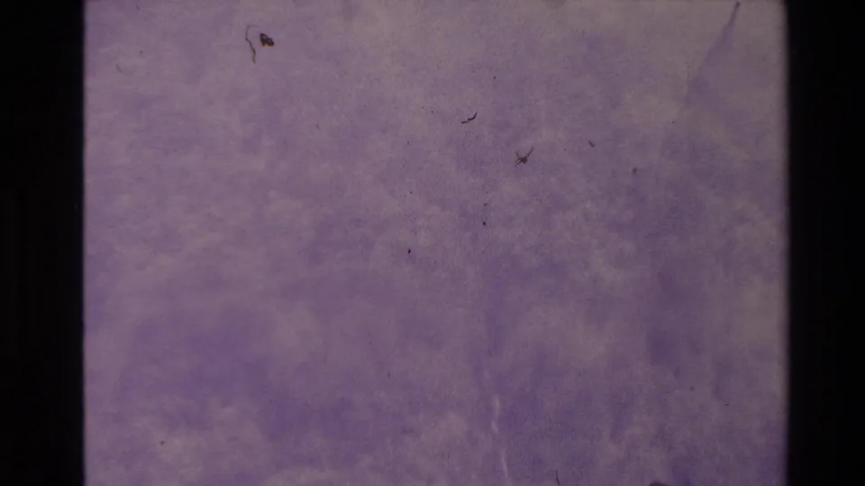 1981 New Zealand 8mm frame showing the lower portion of a purple textured surface with black film edge, dust, scratches, and uneven exposure.