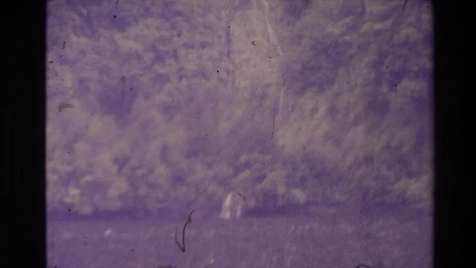 Purple-shifted 8mm frame showing trees and open ground in a New Zealand outdoor landscape.