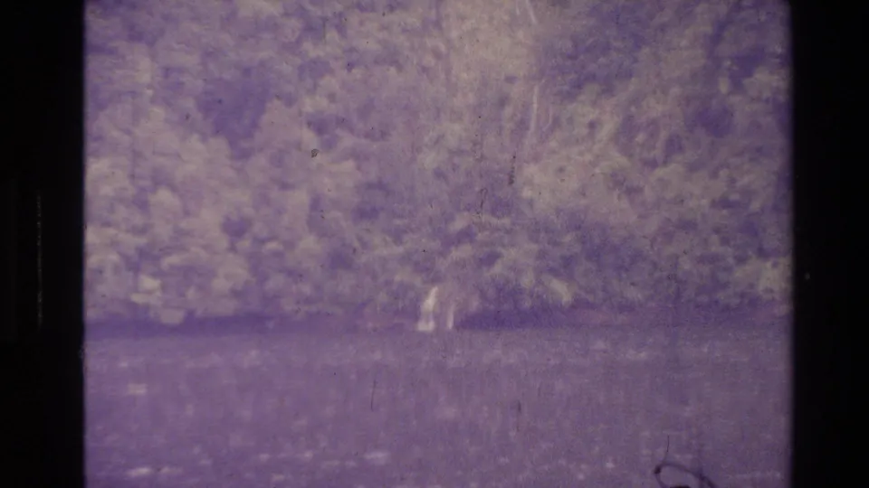 End frame of 1981 New Zealand 8mm nature footage, with wooded foliage, open ground, and archival film wear.