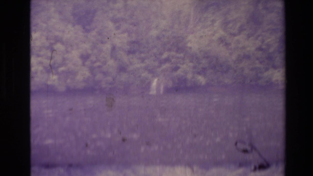 New Zealand 1981 home-movie frame with heavy purple color shift, soft trees or bank detail, and dark horizontal waterline.