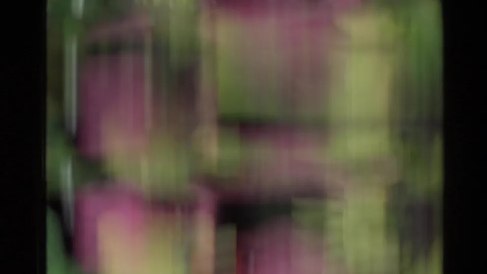 Unstable 8mm frame with close, blurred vegetation and pink-green color smears, likely during a fast pan or movement.