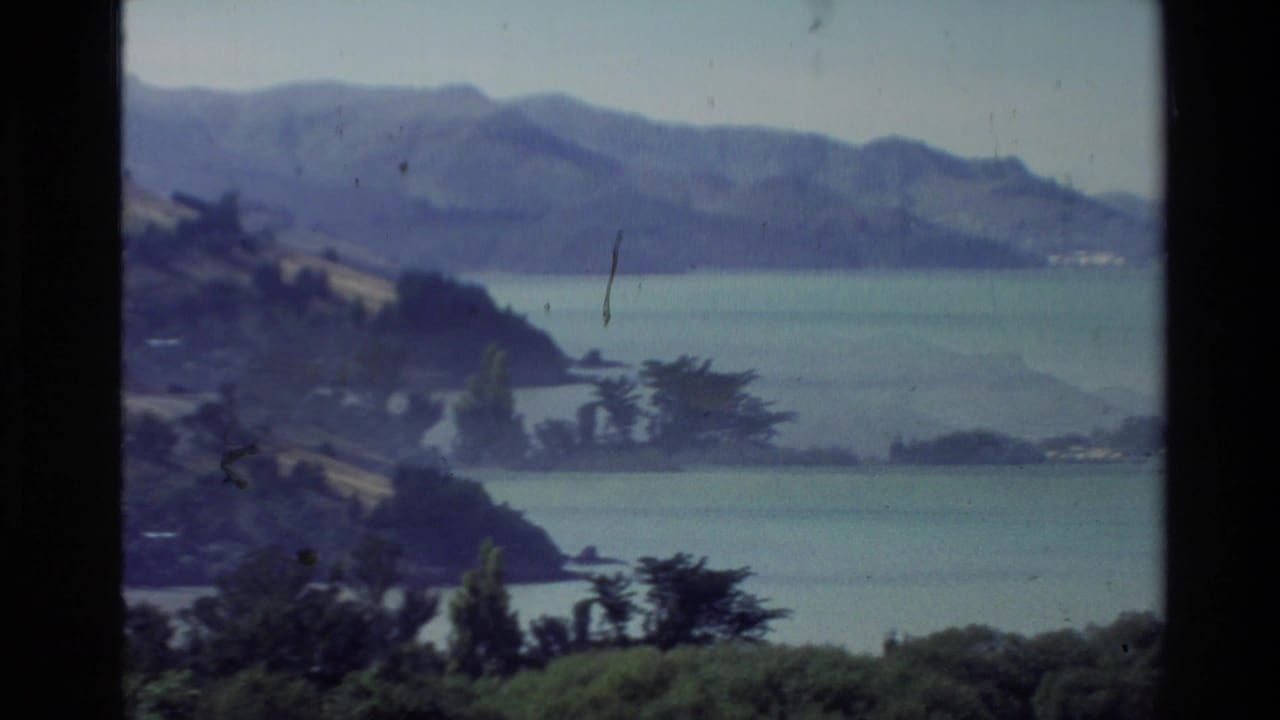 Hazy 1981 New Zealand coastal view with blue water, distant mountains, shoreline trees, and visible 8mm film wear.