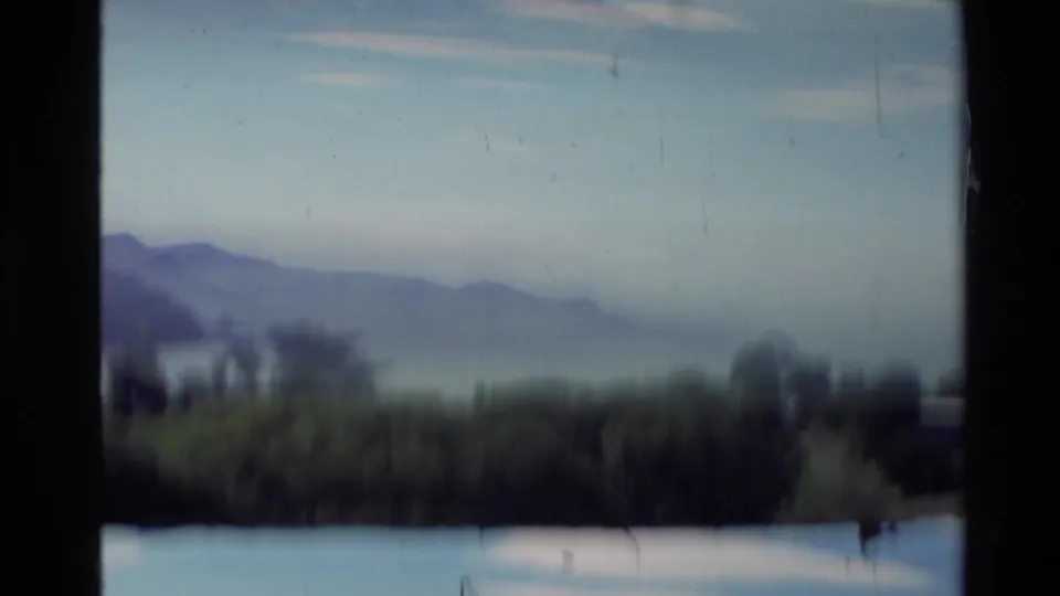 Soft-focus 1981 New Zealand shoreline scene with water, distant mountain ridges, dark trees, and pale sky on 8mm film.