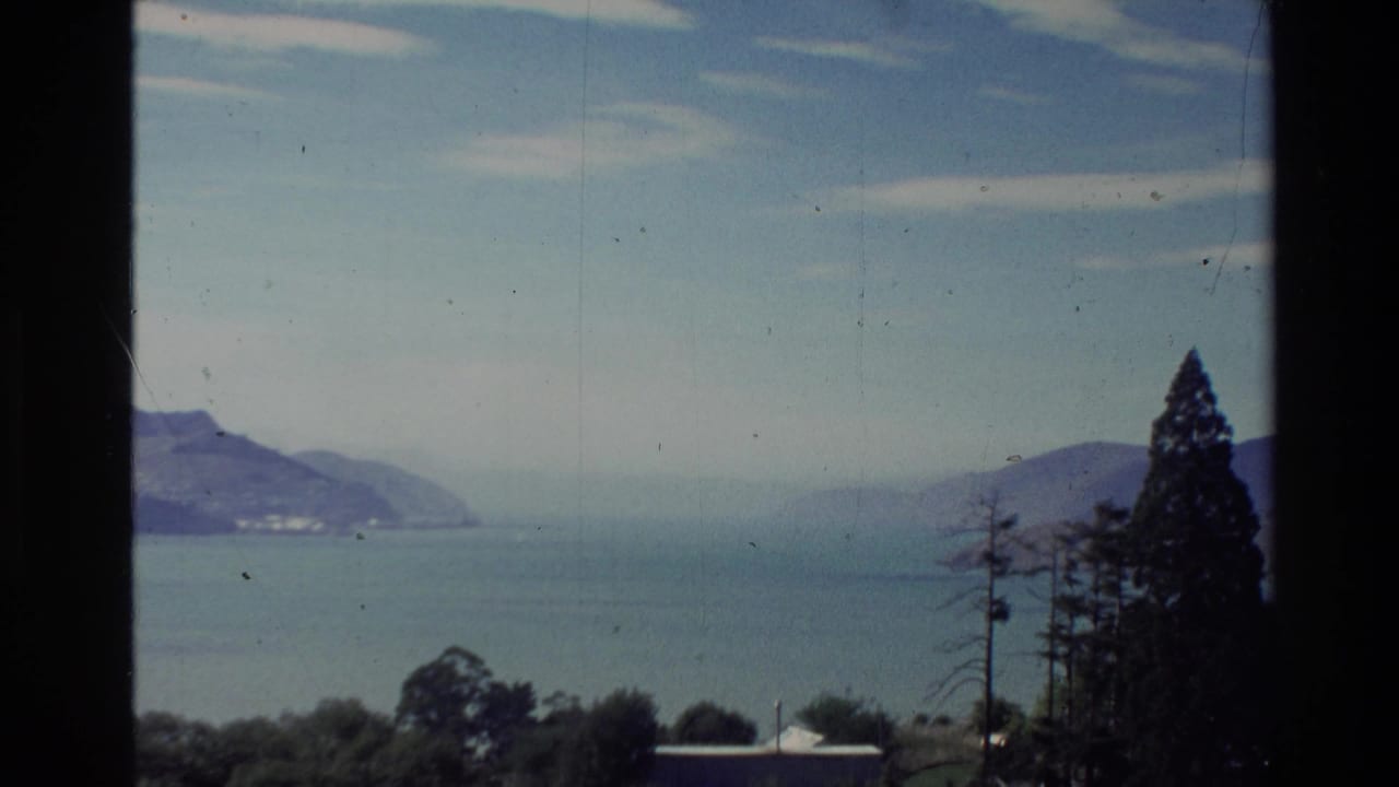 1981 New Zealand 8mm view of distant water, low hills, sky, and foreground trees framed by dark window-like edges.