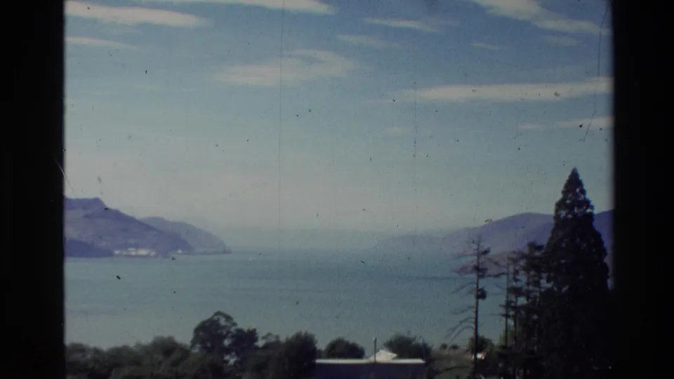 1981 New Zealand 8mm view of distant water, low hills, sky, and foreground trees framed by dark window-like edges.