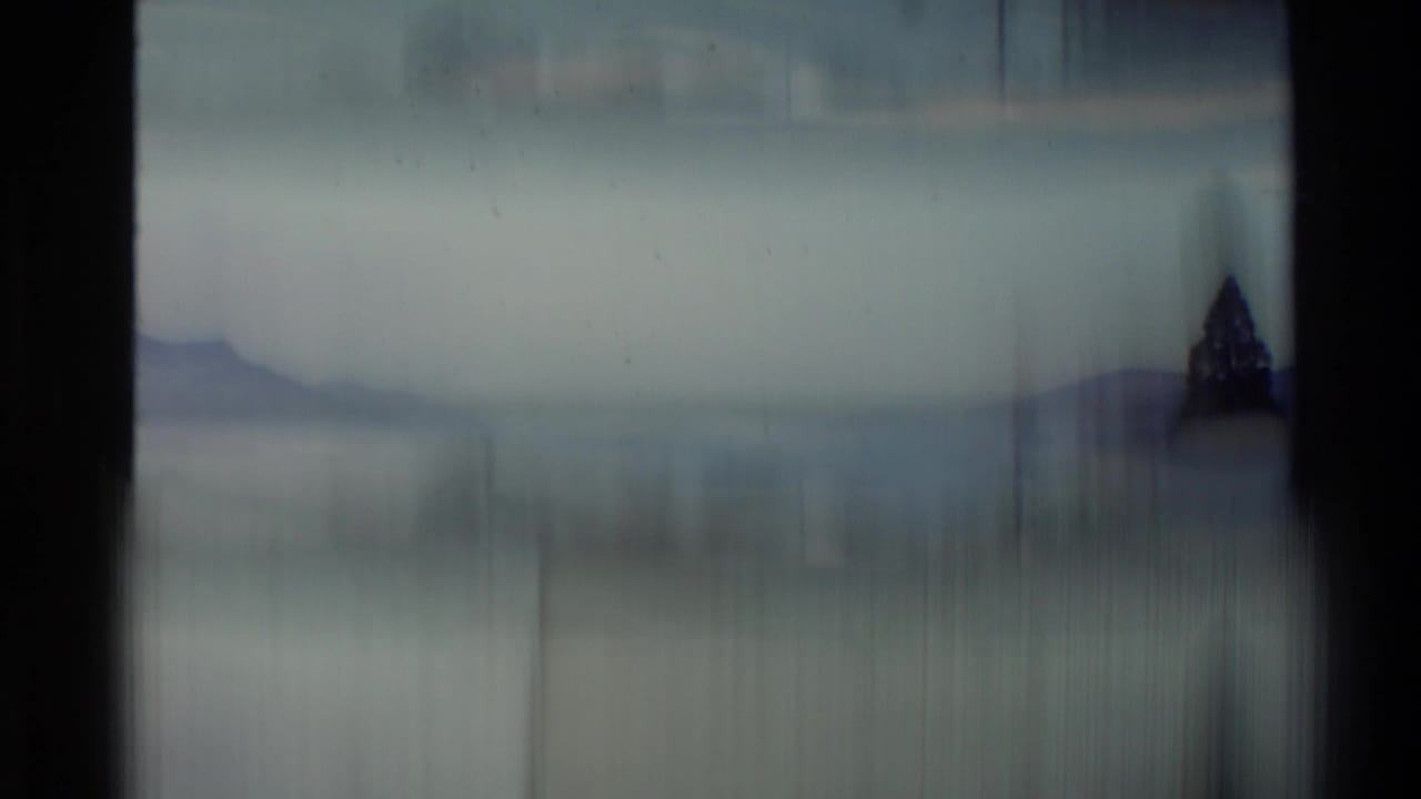 Soft, motion-blurred 8mm frame showing New Zealand water and hills with a tall dark tree at the edge of the view.