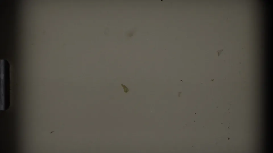 8mm frame with a dark vertical edge, pale wall-like area, dust specks, and scratches, with no clear dogs visible.